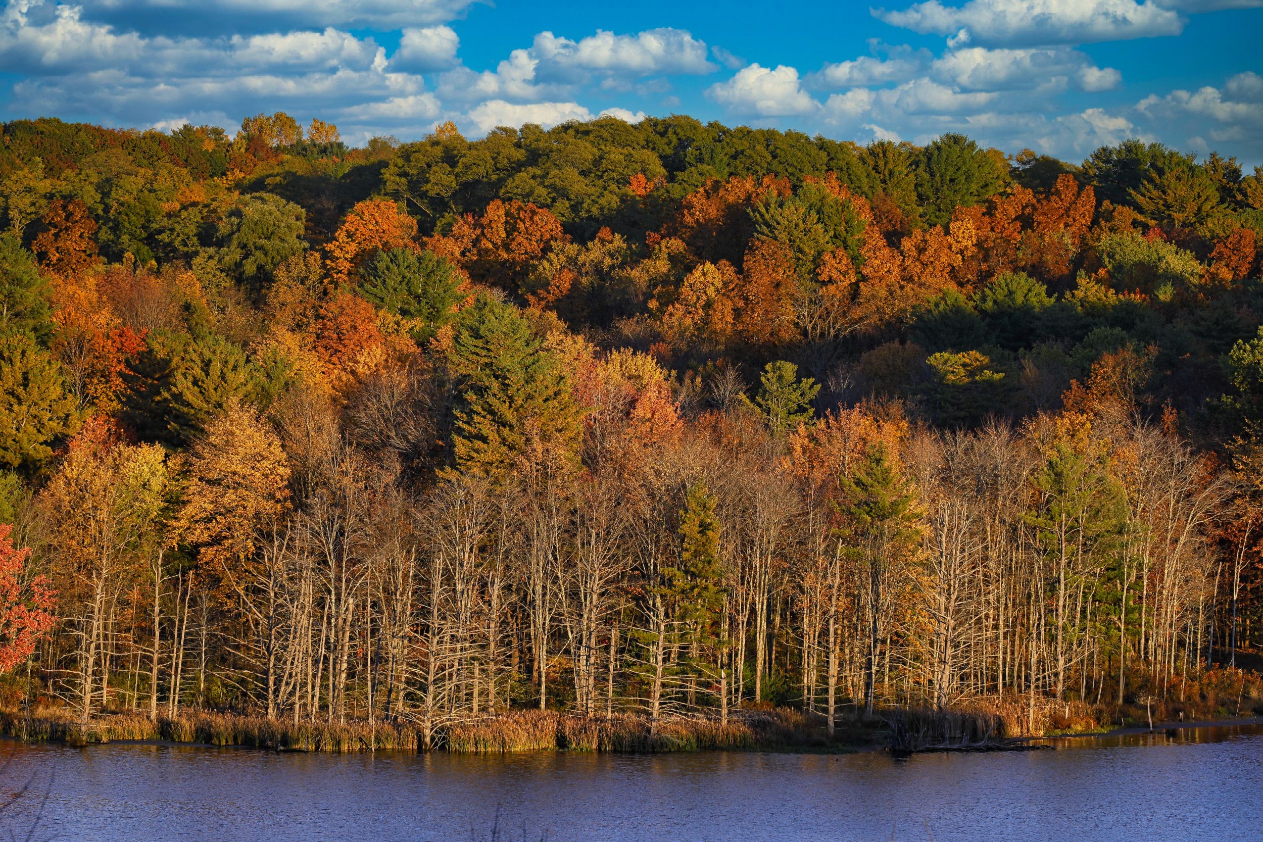 Greenville, NY Shutterstock 2406652569